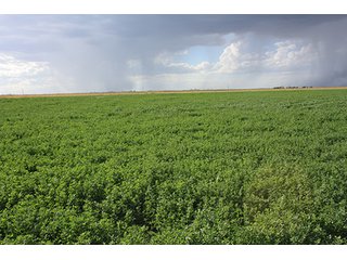 Property photo 72 - LAND AUCTION, 3255+/- Acres offered in 13 Tracts